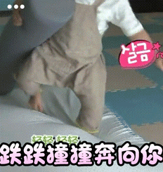 呆萌表情包,撩妹必备
