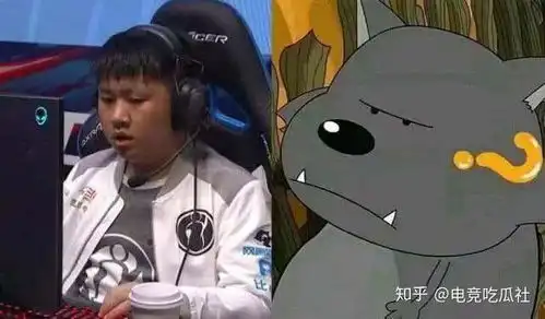 准确度很高蕉太狼确定转会到一家lpl俱乐部含g的队伍
