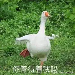 模拟器类游戏到底有什么魅力