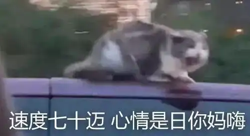 如何找到平台卖家