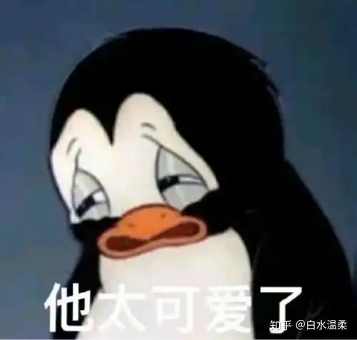 在三峡大学科技学院就读是怎么一番体验