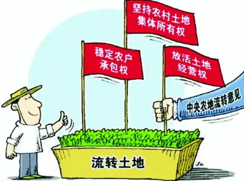 合作社成员的异质交恶病症候诊断及其法律良方