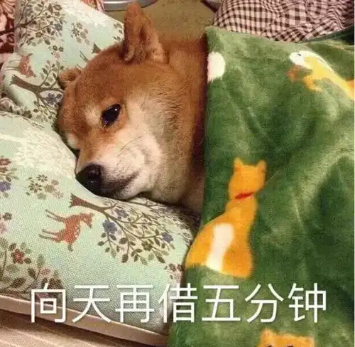 我不想再经历这生死离别,可我的父母不同意我和你在一起啊我爱你床