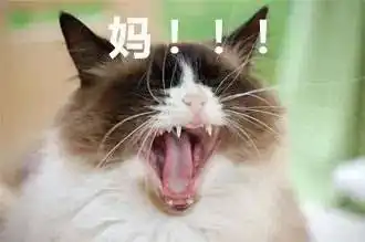 千万不要给你妈发这组表情包,要不然...