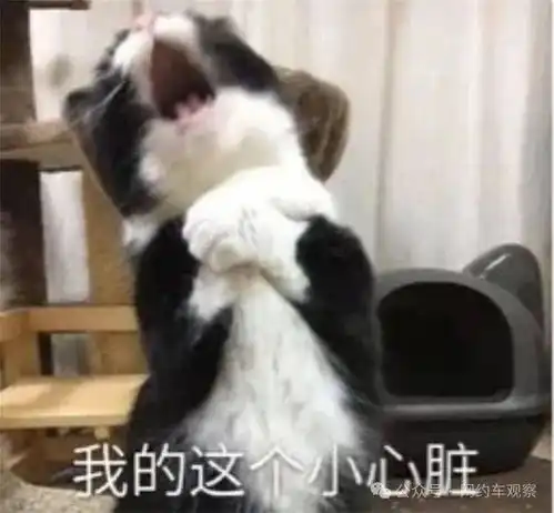 网约车平台判责升级,司机摊上大事,贴钱跑车真的出现了