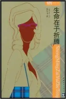 生命在于折腾布波小说