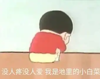 表情包没人疼没人爱,我是地里的小白菜