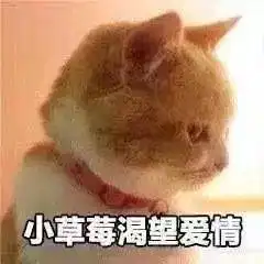 新热门沙雕表情包