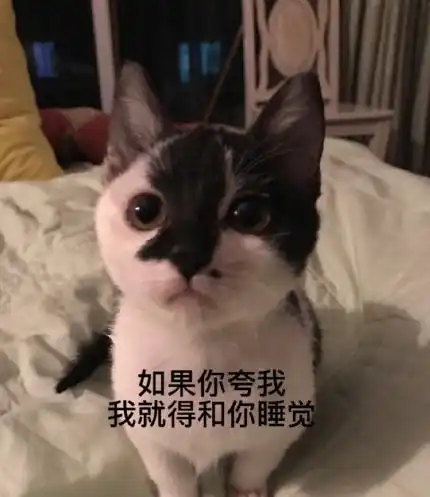 猫奴们的福利来啦一大波表情包来袭,快快收藏起来
