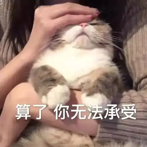 表情包好困,可以不去上班吗