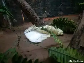 别问我这天有多热,这么跟你说吧