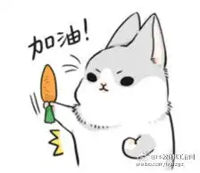 我想请问一下,这只兔子叫什么兔有它齐全的表情包吗