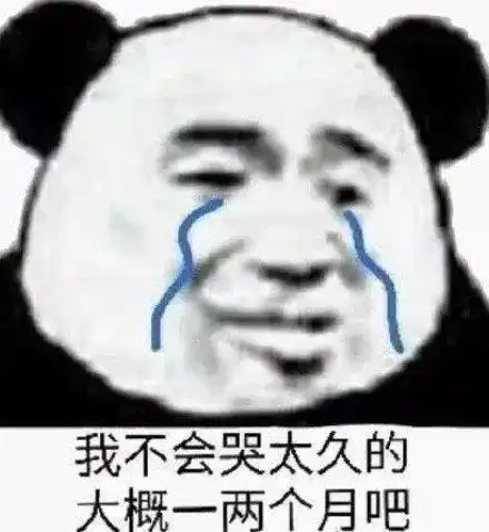 熊猫头表情包合集向你求婚,同意一下