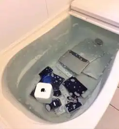 搞笑图片幽默段子笑话好酷的猫咪,现在的动物比人都会打扮了