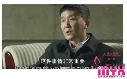人民的名义火遍国外英文版达康书记表情包来了第2页明星新闻美一下