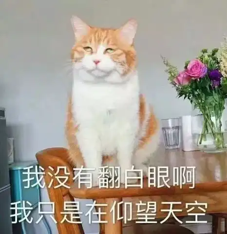 怎样才能追回曾经没好好珍惜的射手女