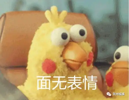 谁的vivo掉了suv追尾三轮车统战部招人一小师德师风教育贺州市民遭入侵