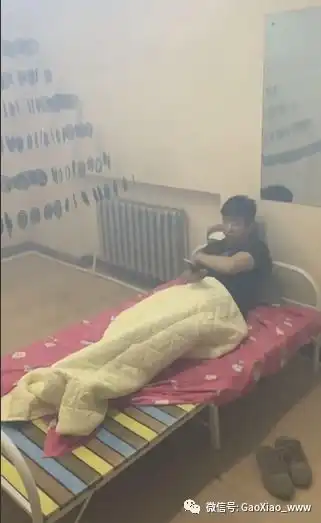 搞笑图片gif今天蚊子不死我死