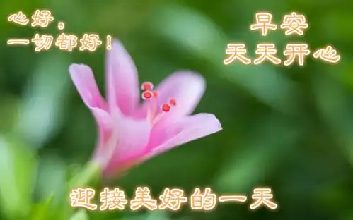 有创意温馨的早上好图片秋天漂亮的早安表情图片祝福语句子