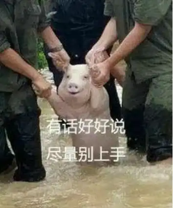 测试一个超长简介的文章