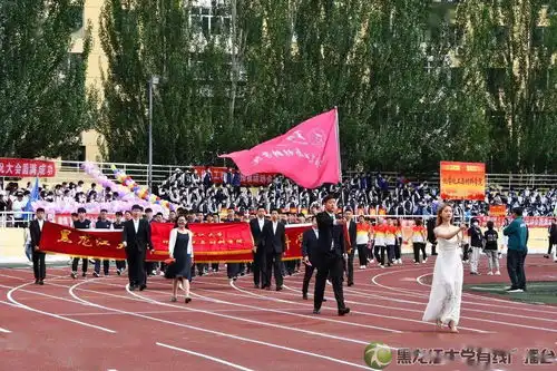 运动会魅力学院大比拼,快来给你喜爱的学院打call吧