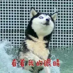 上半年居民收入榜出炉看到四川的又再次扎心了
