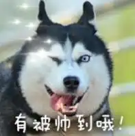 哈士奇表情包二哈表情包图片大全绿色版河东下载站