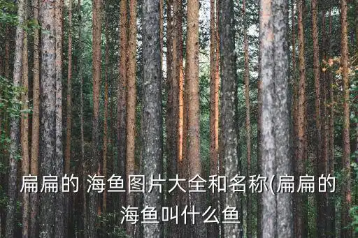 娇喘台词,有谁还记得lol九尾妖狐阿狸云烟版娇喘声