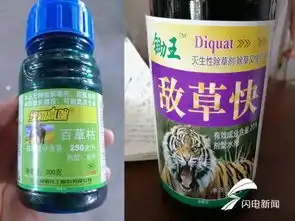 早安山东山东再发高温预警百米大战苏炳添创中国男子世锦赛最好名次,博尔特仅第三