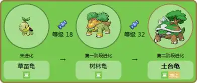 求口袋妖怪新奥三主宠各自的进化图,极品性格,练谁更好