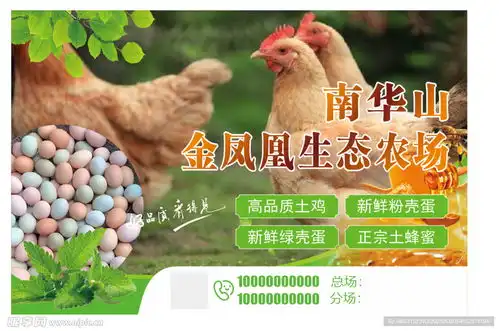 养鸡农场海报设计图