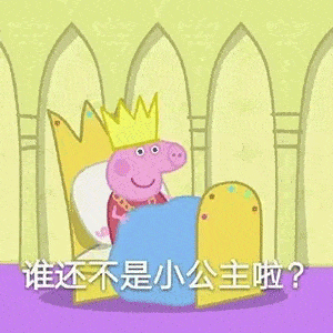 表情sir6.11