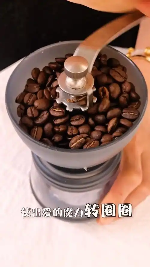 面粉都霍霍完了吧试试苏大强的手磨咖啡吧