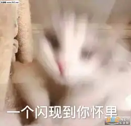你这个女朋友有可能是个男的图片企鹅玩水枪表情包下载乐游网游戏下载