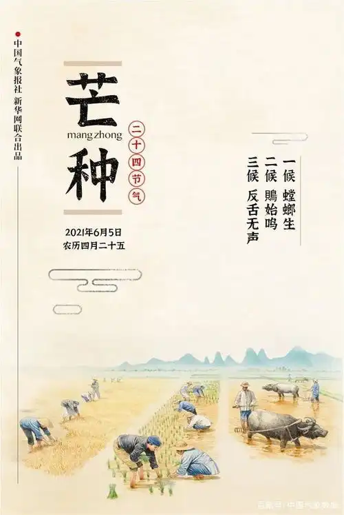 芒种春争日,夏争时
