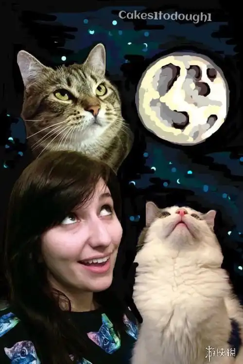 真熊猫国外艺术家脑洞大开把猫p成了其他动物