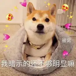柴犬表情包合集