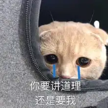 爆笑图集熬夜一时爽,一直熬夜一直爽,网友信我,有小可爱