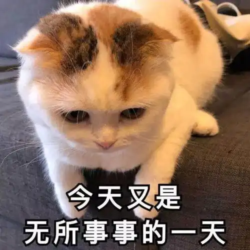 江西大学生er寒假朋友圈精选合集