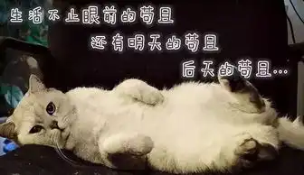 笑掉大牙有了这波毒鸡汤表情包,我多年的丧病终于有救了