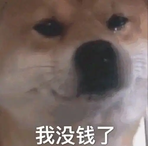 猫狗表情包图片你不是我对手