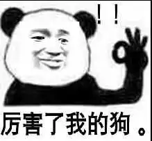 测试一个超长简介的文章