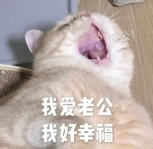 沙雕表情包拿去套路男朋友