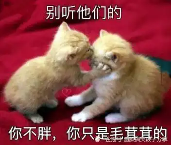 搞笑段子在餐厅遇到初中女同学,但她已经不认识我了