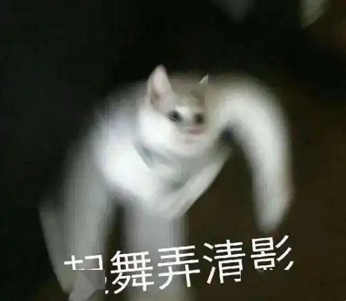 测试一个超长简介的文章