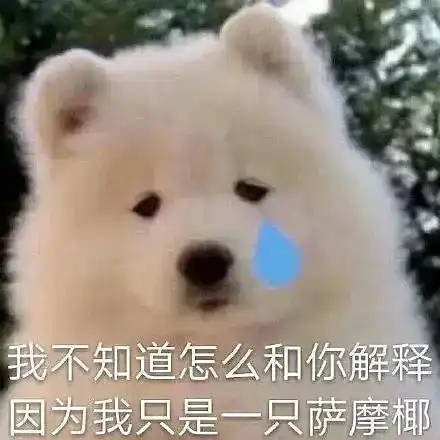 crush好像是个笨蛋美人
