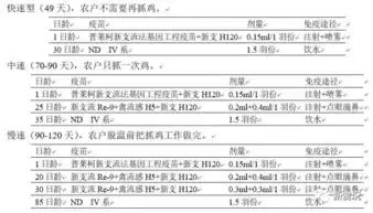 养鸡场疾病免疫多怎么办你需要科学减负