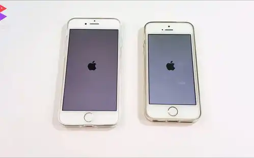 表情iphonesevsiphone7小钢炮毫不服软哔哩哔哩干杯bilibili表情
