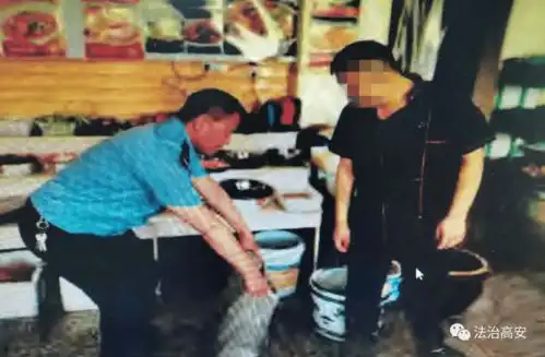 为吸引顾客搞野味,高安这名餐馆老板被判刑罚款