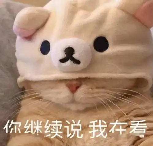 高效上网课的一百种方法